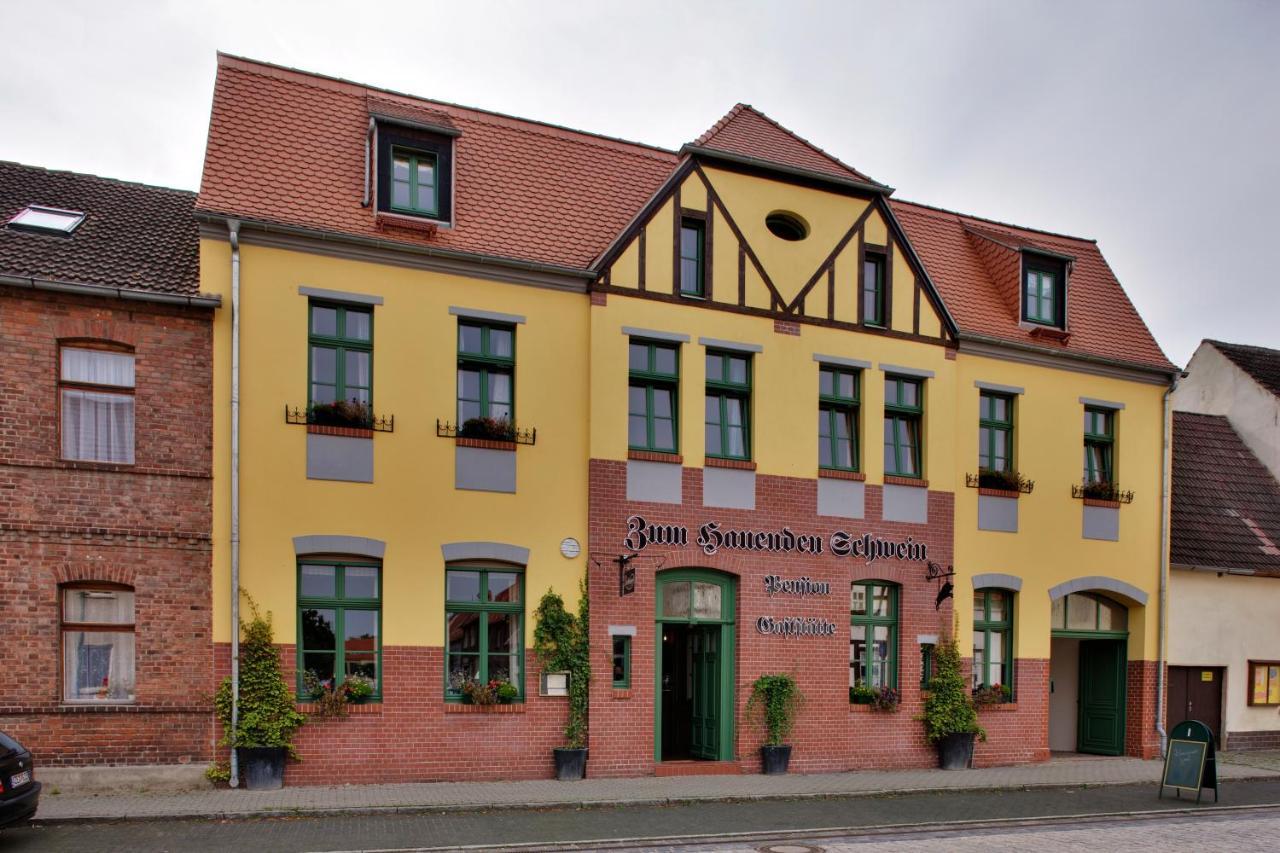Gasthaus Und Pension "Zum Hauenden Schwein" Wörlitz Extérieur photo